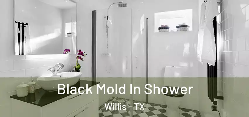  Black Mold In Shower Willis - TX