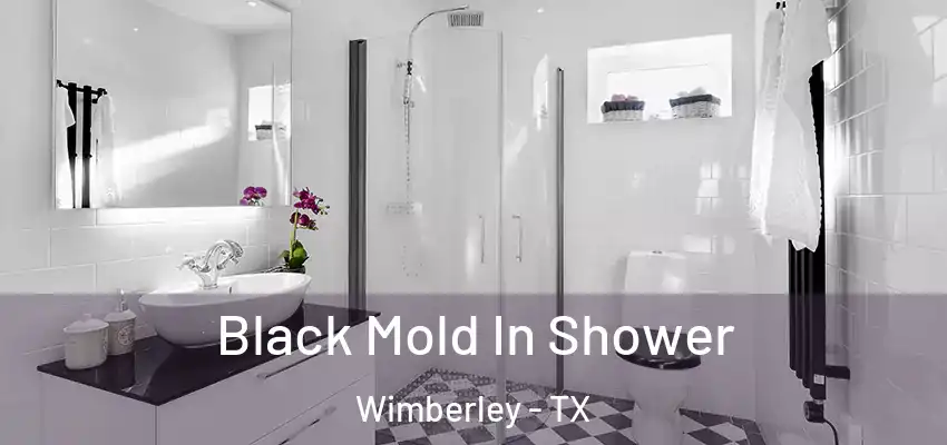 Black Mold In Shower Wimberley - TX