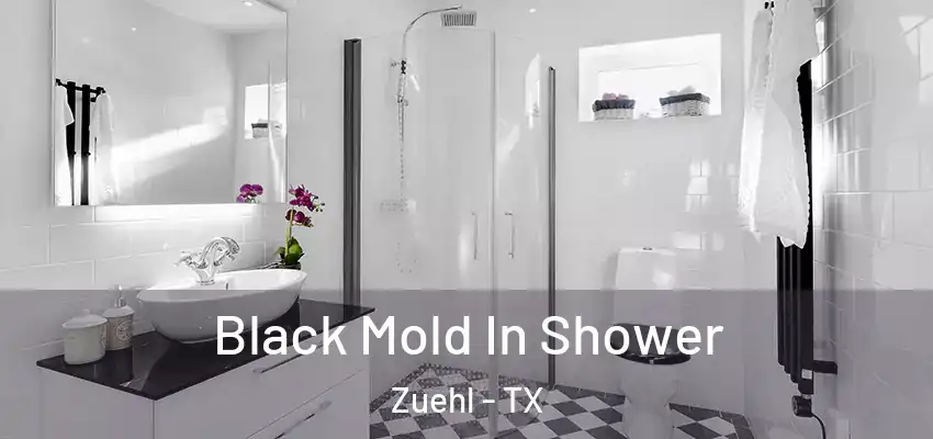  Black Mold In Shower Zuehl - TX