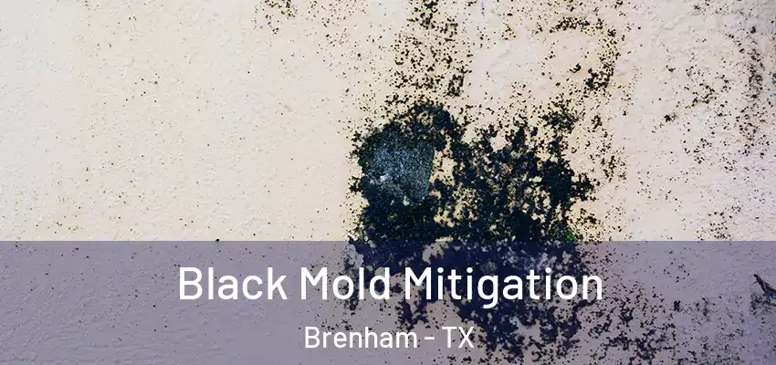  Black Mold Mitigation Brenham - TX