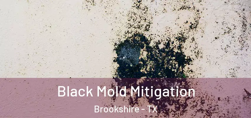  Black Mold Mitigation Brookshire - TX