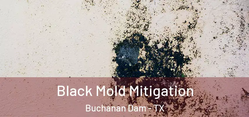  Black Mold Mitigation Buchanan Dam - TX