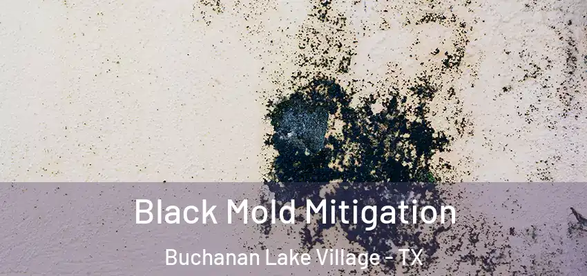  Black Mold Mitigation Buchanan Lake Village - TX