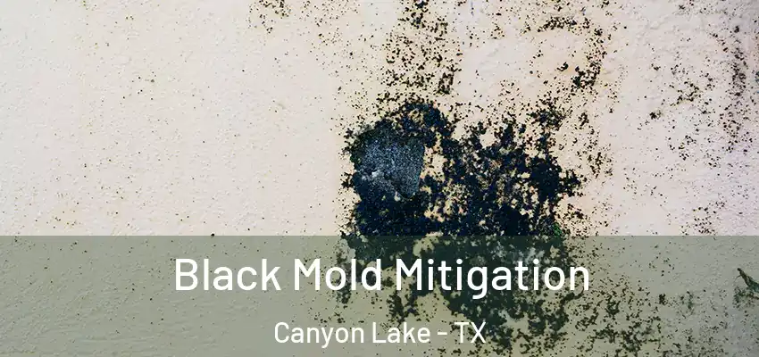  Black Mold Mitigation Canyon Lake - TX