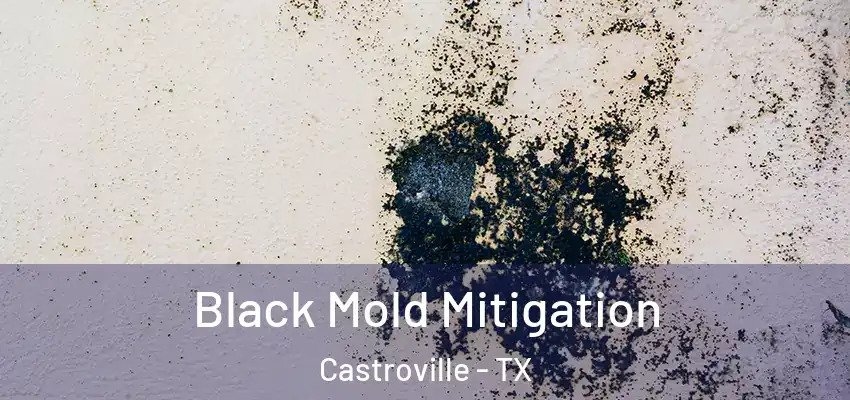  Black Mold Mitigation Castroville - TX