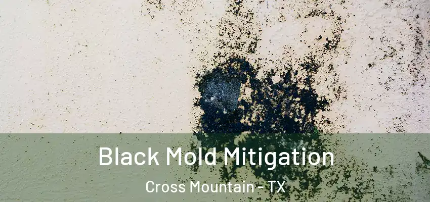  Black Mold Mitigation Cross Mountain - TX