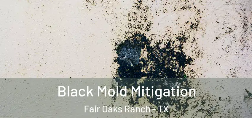  Black Mold Mitigation Fair Oaks Ranch - TX