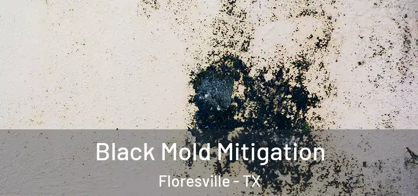  Black Mold Mitigation Floresville - TX