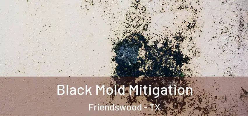  Black Mold Mitigation Friendswood - TX