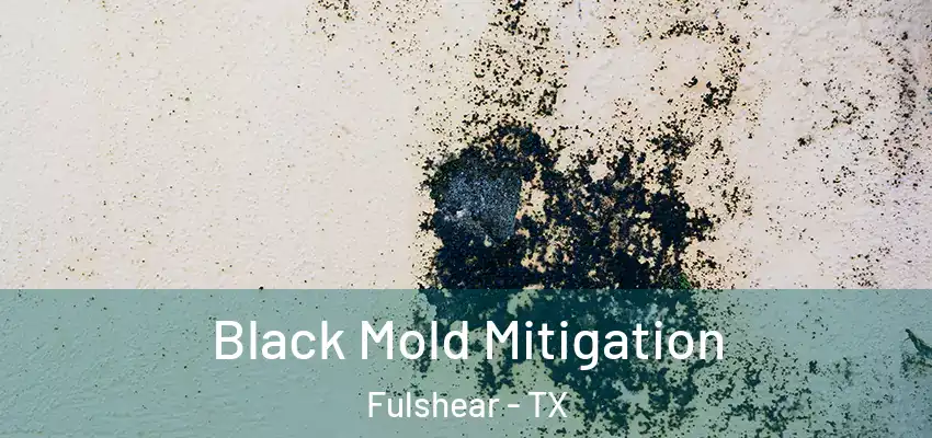  Black Mold Mitigation Fulshear - TX