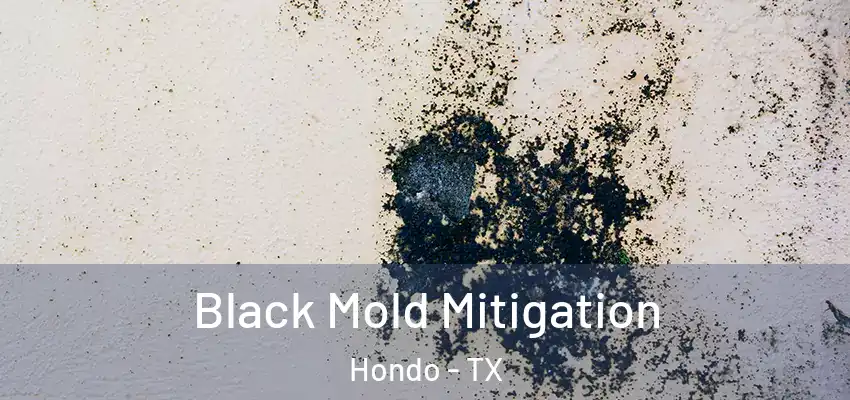  Black Mold Mitigation Hondo - TX