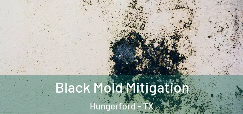  Black Mold Mitigation Hungerford - TX