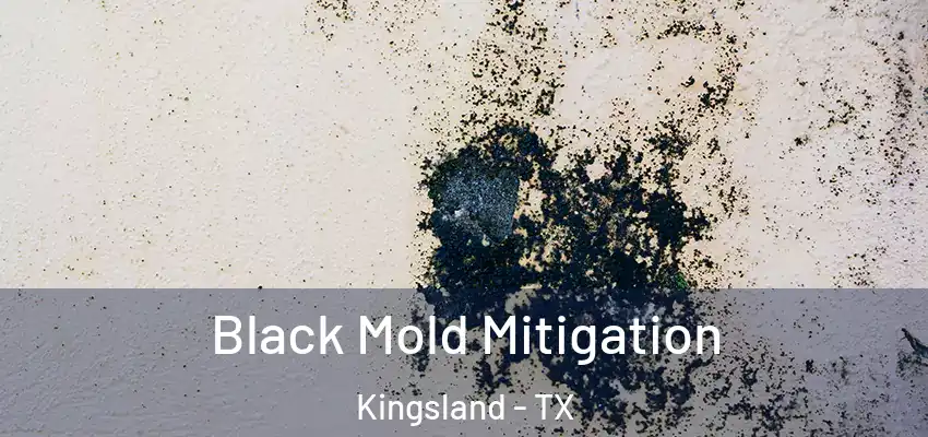  Black Mold Mitigation Kingsland - TX