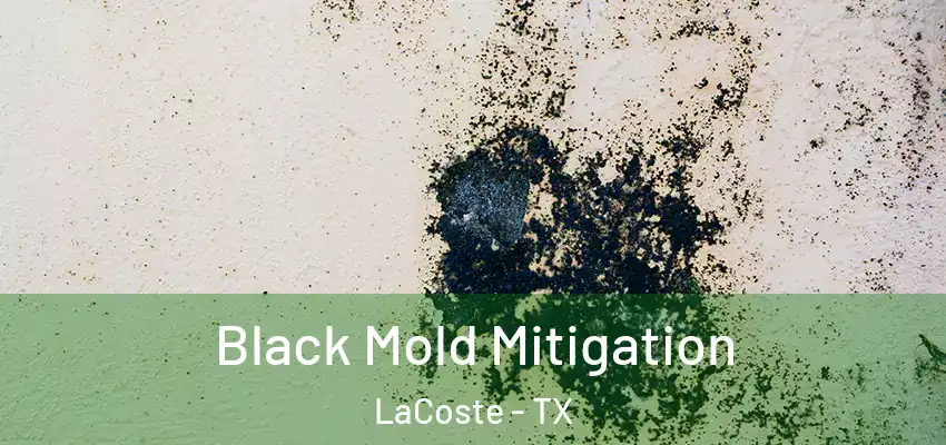  Black Mold Mitigation LaCoste - TX