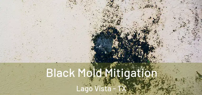  Black Mold Mitigation Lago Vista - TX