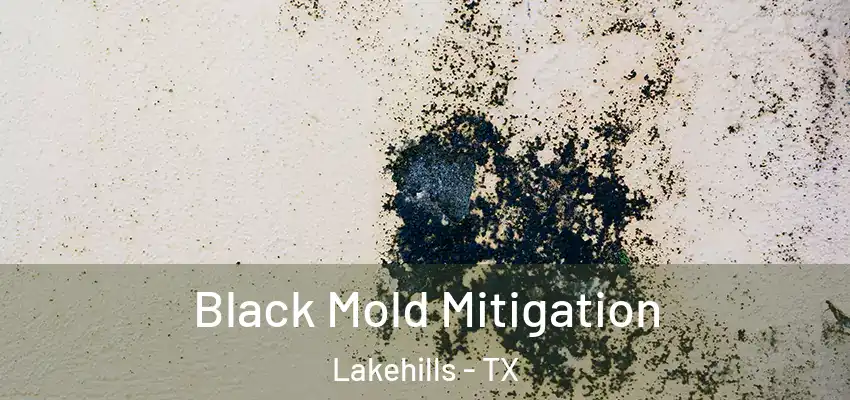  Black Mold Mitigation Lakehills - TX
