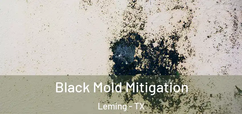  Black Mold Mitigation Leming - TX