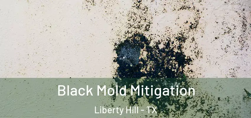  Black Mold Mitigation Liberty Hill - TX