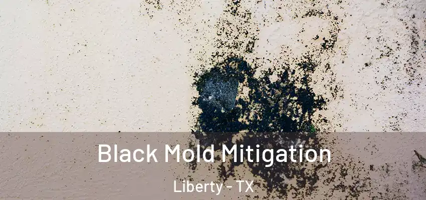  Black Mold Mitigation Liberty - TX