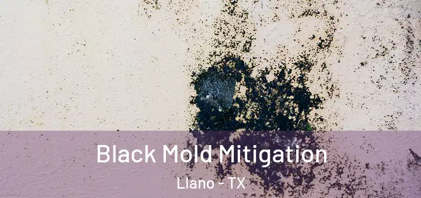  Black Mold Mitigation Llano - TX