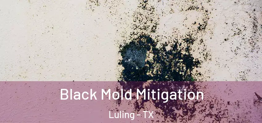  Black Mold Mitigation Luling - TX