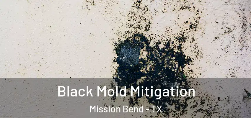  Black Mold Mitigation Mission Bend - TX