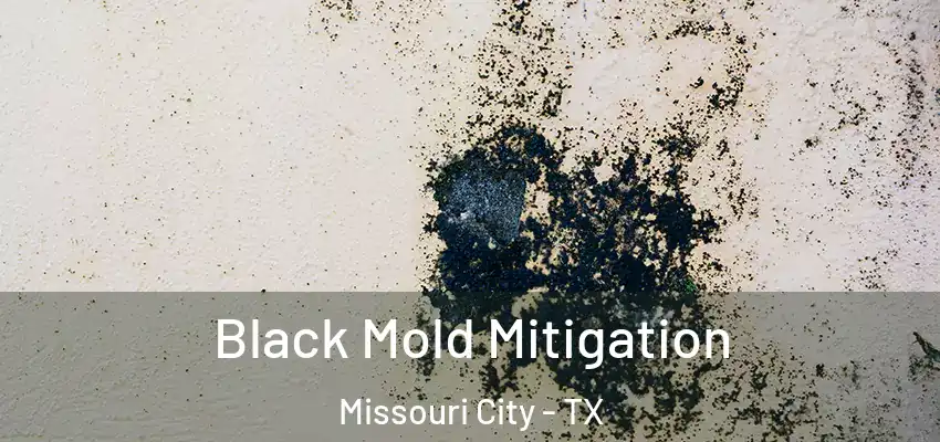  Black Mold Mitigation Missouri City - TX