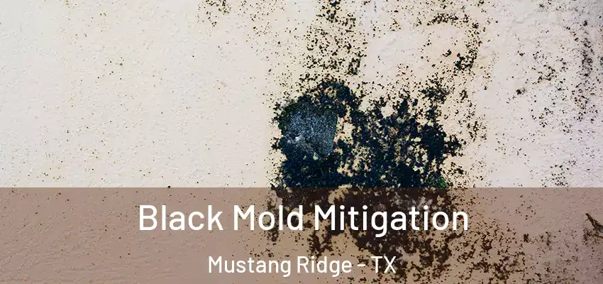  Black Mold Mitigation Mustang Ridge - TX