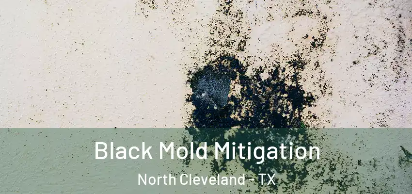  Black Mold Mitigation North Cleveland - TX