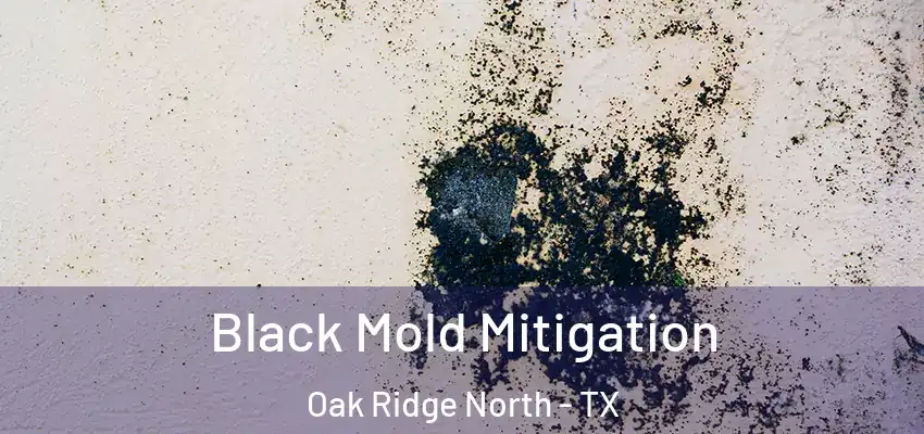  Black Mold Mitigation Oak Ridge North - TX