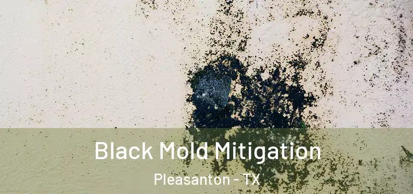  Black Mold Mitigation Pleasanton - TX