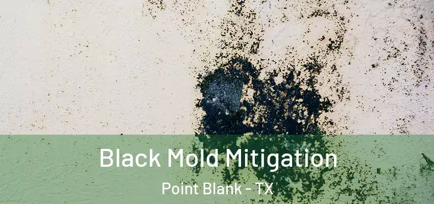 Black Mold Mitigation Point Blank - TX