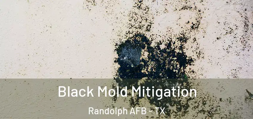  Black Mold Mitigation Randolph AFB - TX
