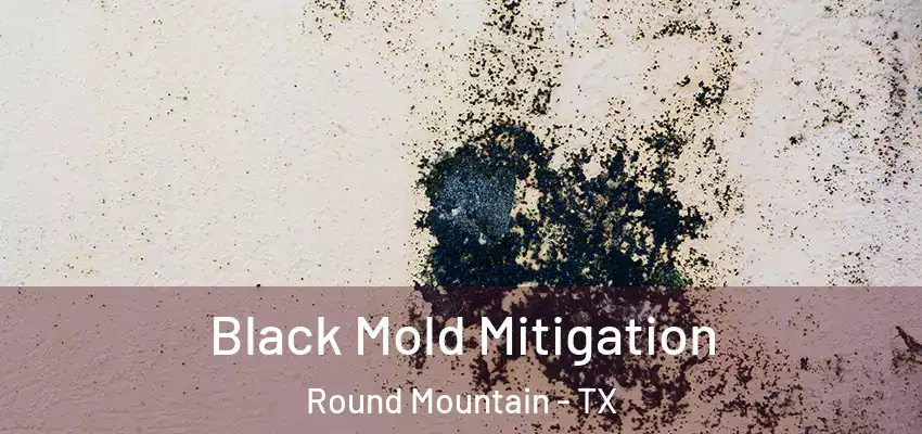  Black Mold Mitigation Round Mountain - TX
