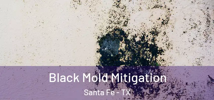  Black Mold Mitigation Santa Fe - TX