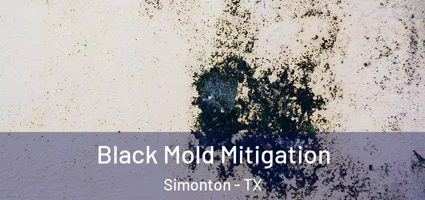  Black Mold Mitigation Simonton - TX