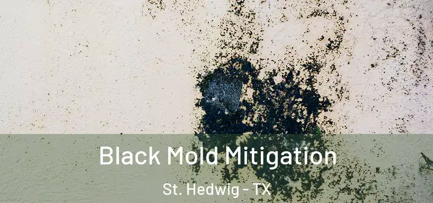  Black Mold Mitigation St. Hedwig - TX