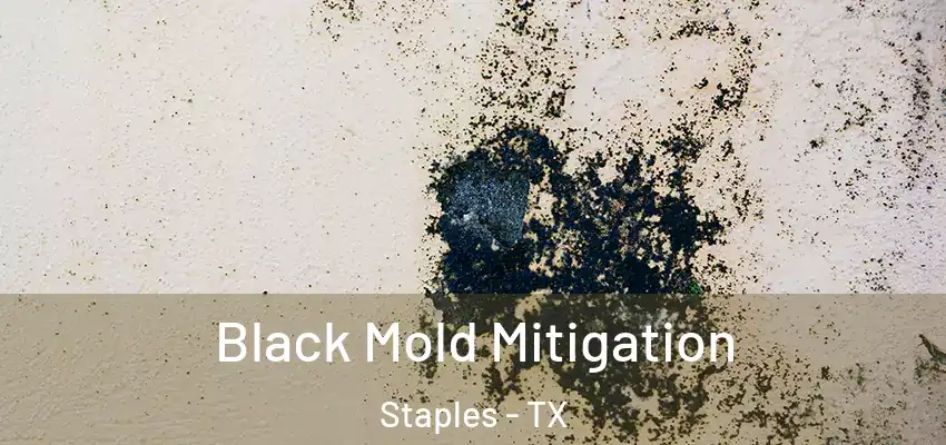  Black Mold Mitigation Staples - TX