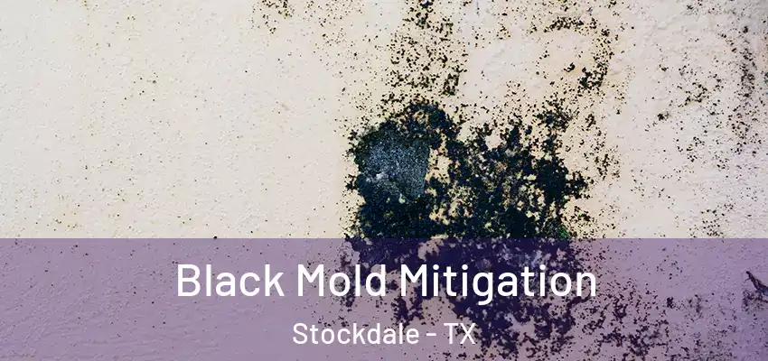  Black Mold Mitigation Stockdale - TX