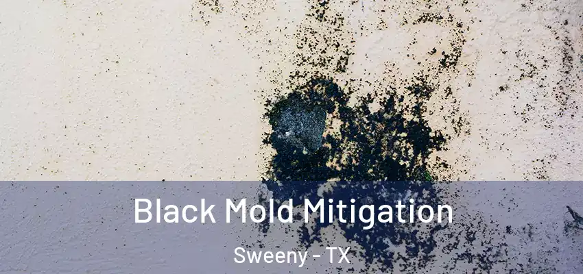  Black Mold Mitigation Sweeny - TX