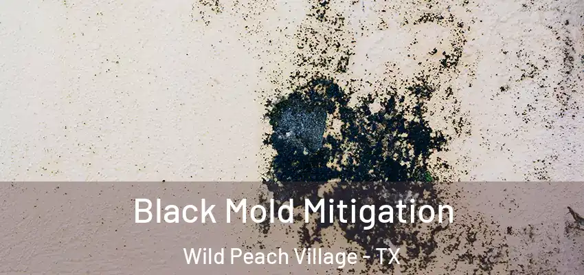  Black Mold Mitigation Wild Peach Village - TX
