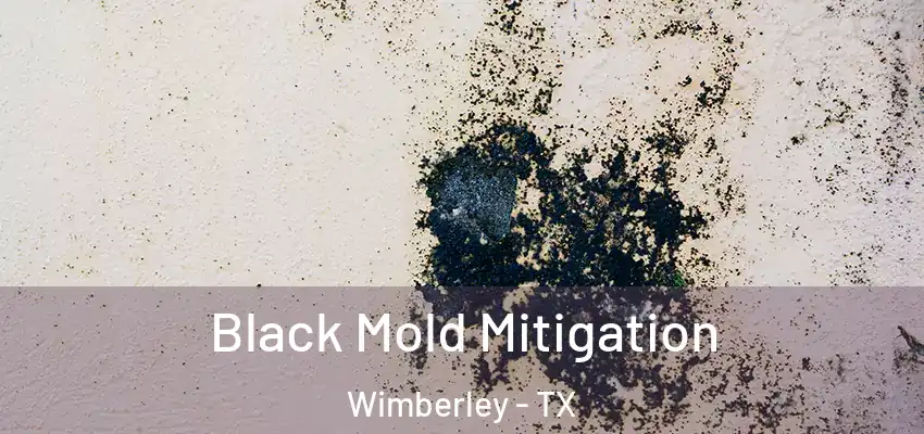  Black Mold Mitigation Wimberley - TX