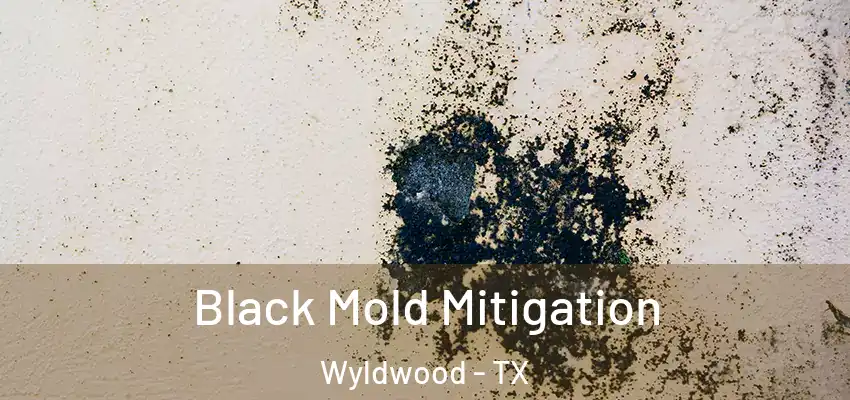 Black Mold Mitigation Wyldwood - TX