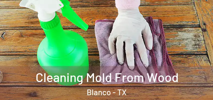  Cleaning Mold From Wood Blanco - TX