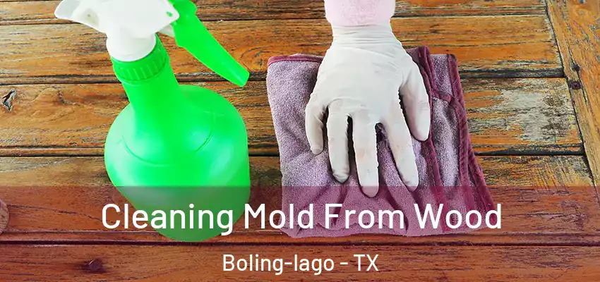  Cleaning Mold From Wood Boling-Iago - TX