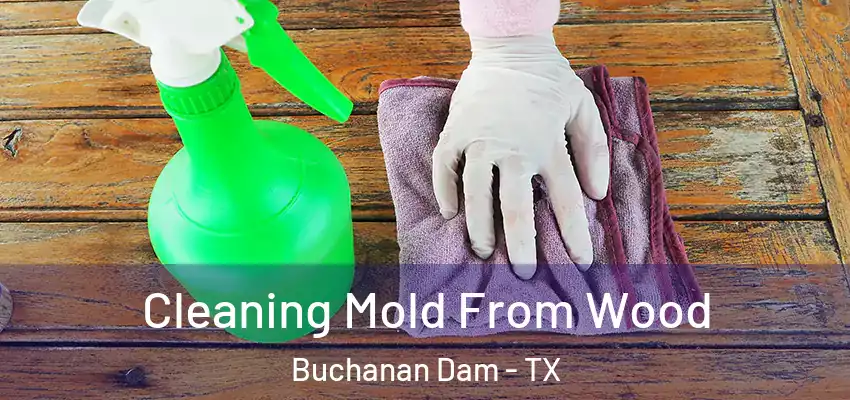  Cleaning Mold From Wood Buchanan Dam - TX