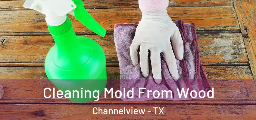  Cleaning Mold From Wood Channelview - TX