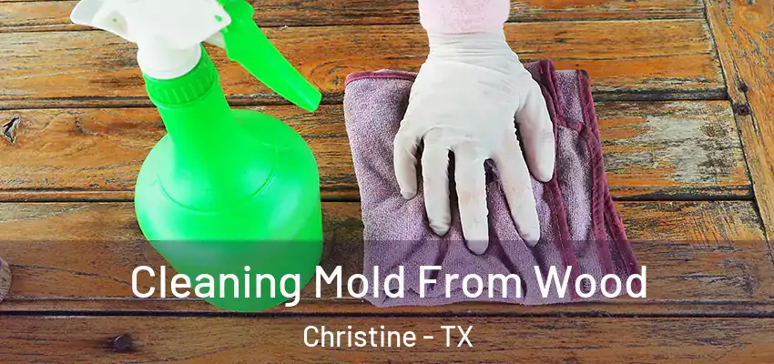  Cleaning Mold From Wood Christine - TX