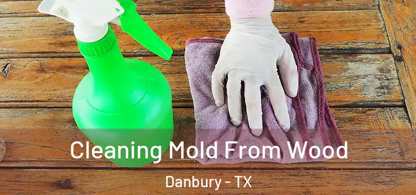  Cleaning Mold From Wood Danbury - TX