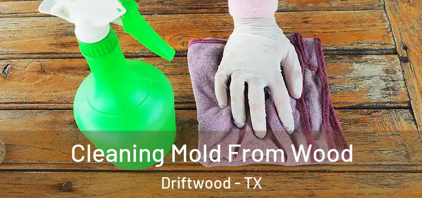  Cleaning Mold From Wood Driftwood - TX
